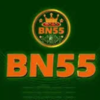 BN555 Game